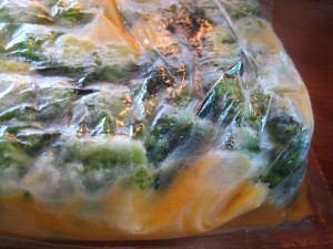 Boiled in the Bag -- Broccoli and Cheese Sauce (Photo Credit: myhomemdelife.blogspot.com)
