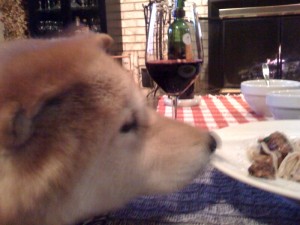 Our dog loves meatballs -- this time served with linguini in a butter sauce with Parmesan (Photo Credit: Adroit Ideals)