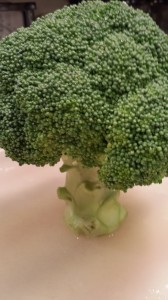 Broccoli : Eat Your Trees!  (Photo Credit: Adroit Ideals)
