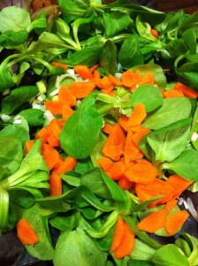 A light salad of sliced carrot and mache greens goes well with Dijon Mustard Dressing (Photo Credit: Adroit Ideals)