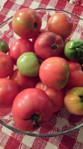 Tomatoes from my garden!  (Photo Credit: Adroit Ideals)