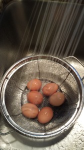 Rinse the eggs with cold water until they cool (Photo Credit: Adroit Ideals)