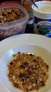 Serve your homemade granola with your favorite yogurt and honey (Photo Credit: Adroit Ideals)