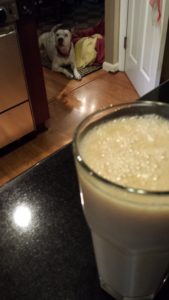 Our dog Atticus is letting me know that he would like a taste of this delicious smoothie (Photo Credit: Adroit Ideals)